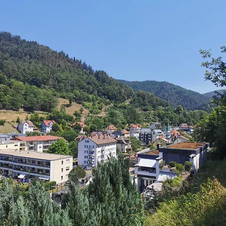 Terrassenwohnung Mit Toller Aussicht & Zentrumsnah *