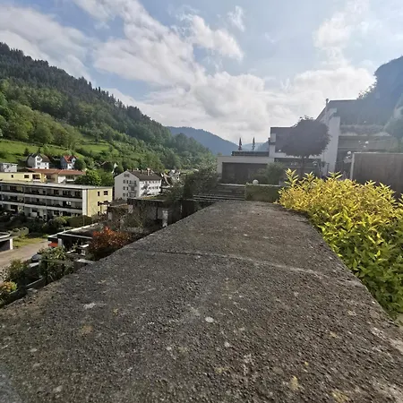 Terrassenwohnung Mit Toller Aussicht & Zentrumsnah Διαμέρισμα Hornberg